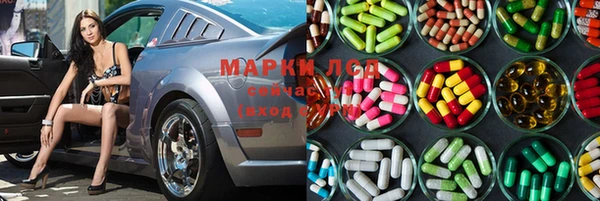 прущие крисы Алзамай