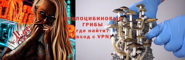 прущие крисы Алзамай