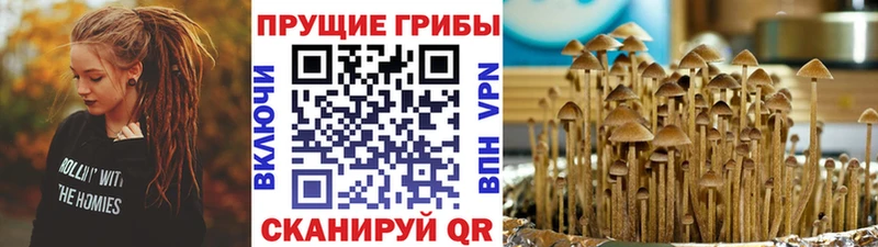 Галлюциногенные грибы Cubensis  Липки 